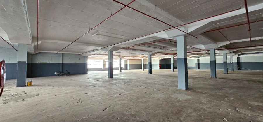 To Let commercial Property for Rent in Elsies River Industrial Western Cape